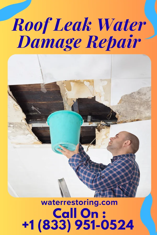 Roof Leak Water Damage Repair in Parkland, WA